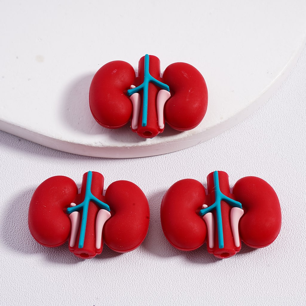 Silicone Focal Beads  3D Vivid Heart Kidney Lung Stomach