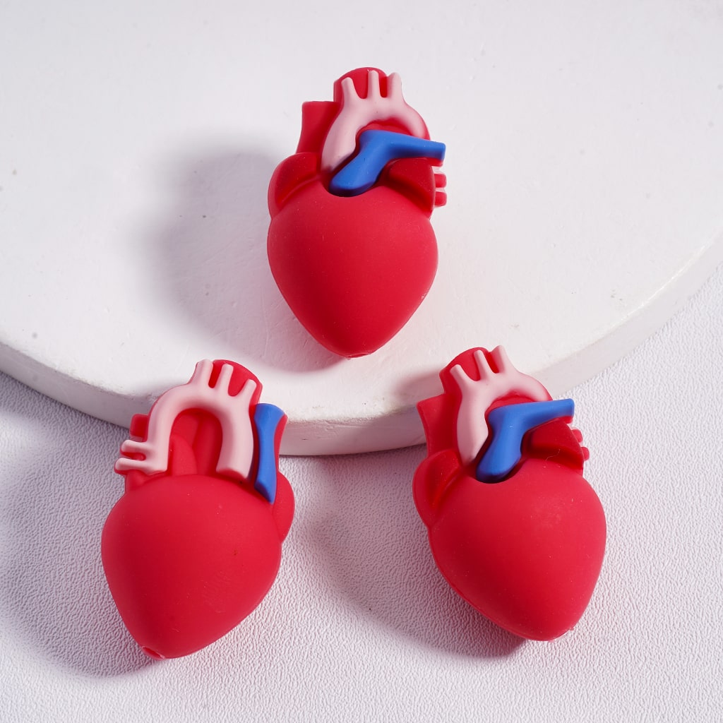 Silicone Focal Beads  3D Vivid Heart Kidney Lung Stomach