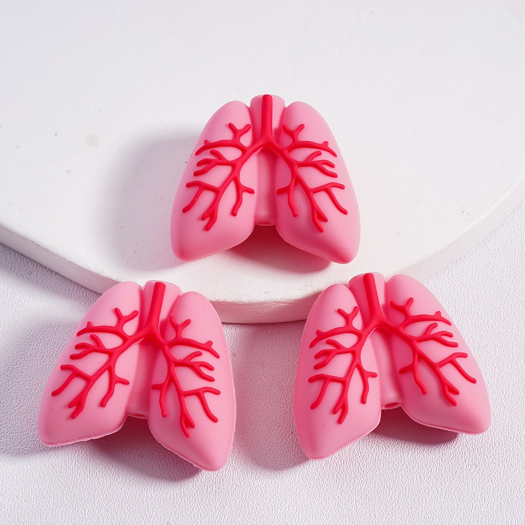 Silicone Focal Beads  3D Vivid Heart Kidney Lung Stomach