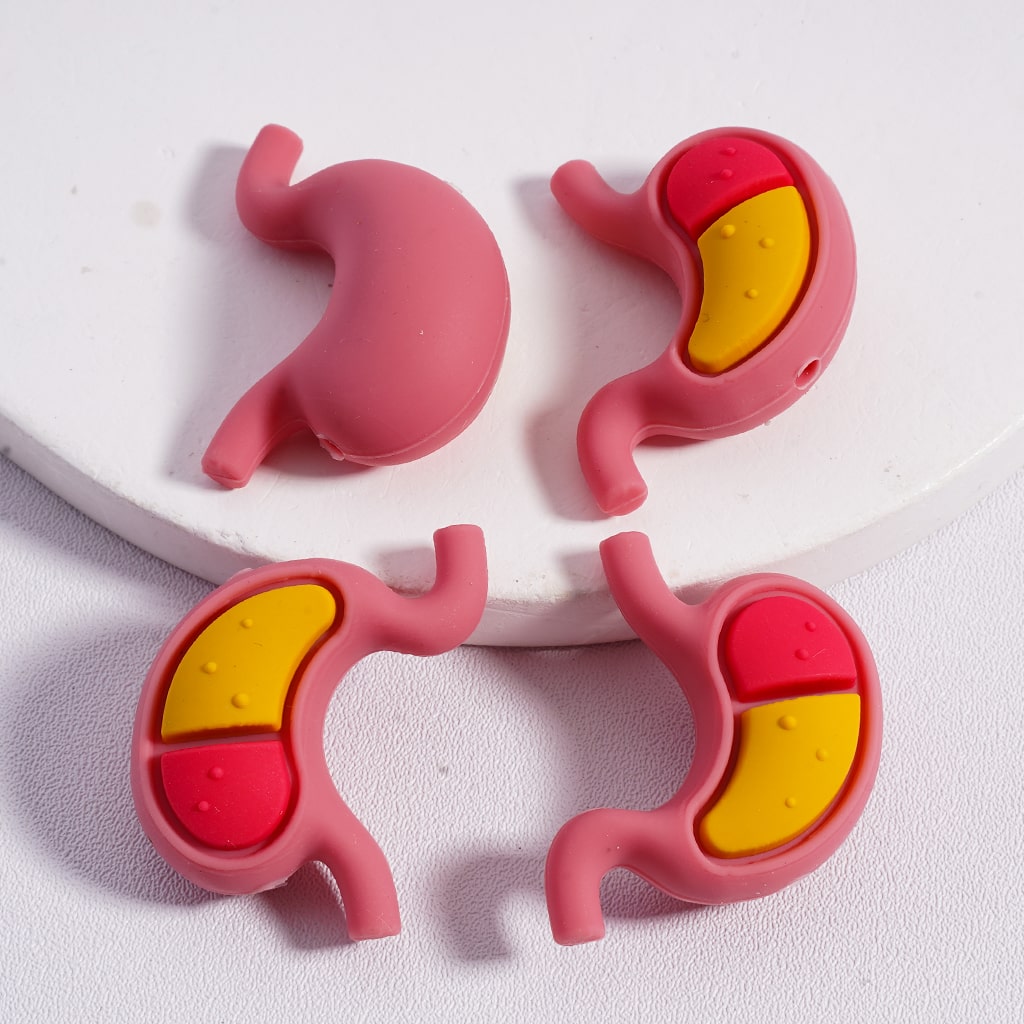 Silicone Focal Beads  3D Vivid Heart Kidney Lung Stomach